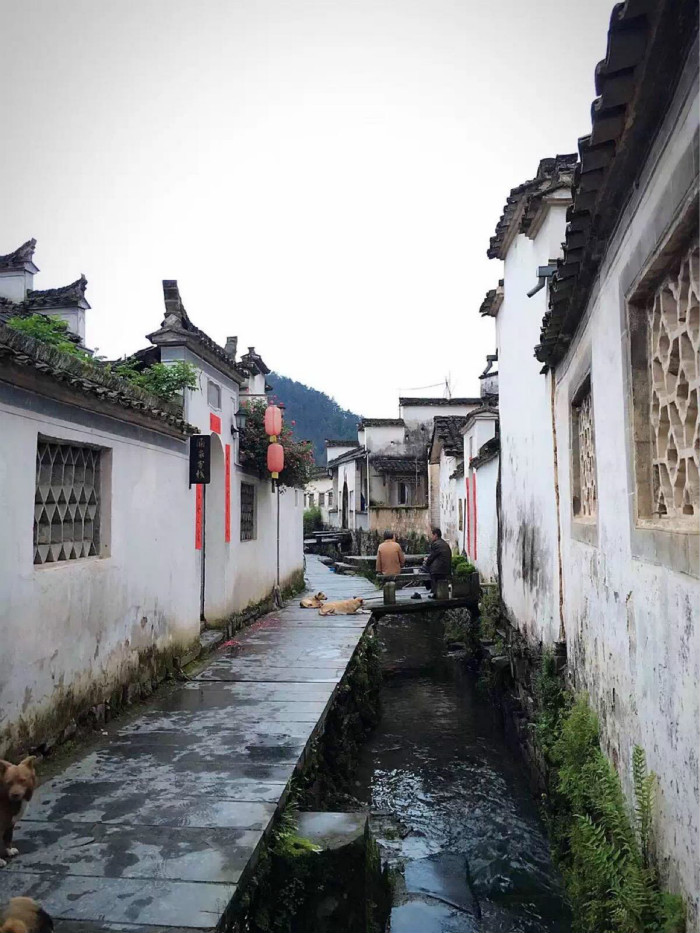 【逃跑计划】想摆脱城市的喧嚣?那就去皖南古村落看看